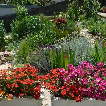 아파트 Zora 오파티아