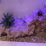 Apartament Zora Opatija